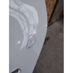 Porte Arriere Gauche Renault Megane 4 Phase 1 (2)